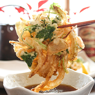 �����g���V�Ղ�̍���