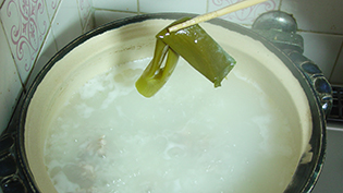 �l�M�Ɛ��I�����o���A�΂��~�߂�