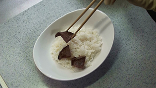 �������т̏�ɂ̂���