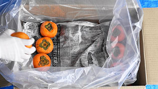 �c��̊`����ׂ�
