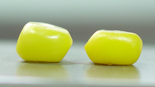 �������ł��Ƃ����낱���͐������܂�łՂ����肵�Ă���