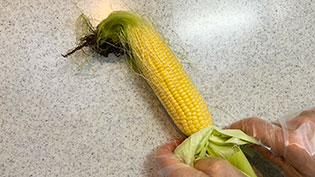 �����Ղ�̂����ŉ�䥂ł���