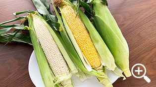 �s���A�z���C�g