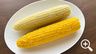 �s���A�z���C�g