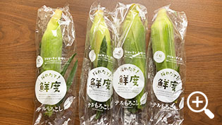 �I�[���p�b�N�Ō���ꂽ�ÁX��