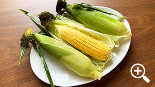 �s�N�j�b�N�R�[��