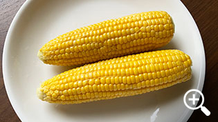 �{�i�����̂���