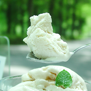 �W�F���[�g�̍���