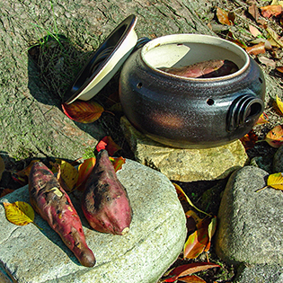 �ΏĂ����p��u�������Y�v�ō��ΏĂ���