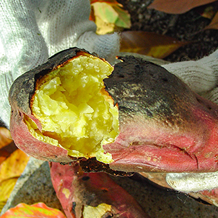 �ΏĂ����̍���