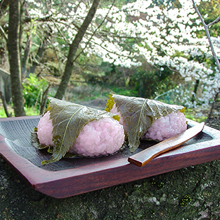 �����������g�����֐������݂̍���