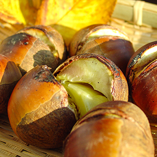 �Ă��I�̍���