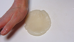 ���a8cm���x�̉~�`�ɂ̂΂��Ă���