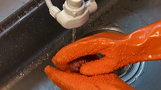 �S����܃��b�L�[����ɂ͂߁A�I���������ďa����������藎�Ƃ�