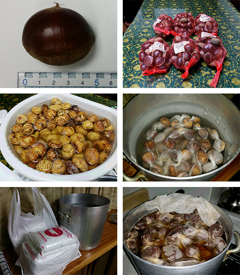 5�Z���`��̋���I�ō��}�����O���b�Z
