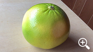 �J���t�H���j�A�Y�̃����S�[���h