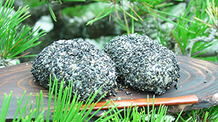 ��ɐ����ďo���オ��