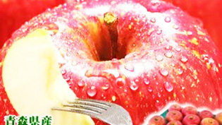 �����x�T���ӂ��ƒ�p