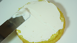 �z�C�b�v�N���[���𐶒n�̒f�ʂɓh��