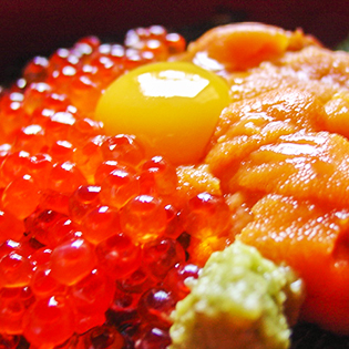 �E�j�E�C�N�����̍���