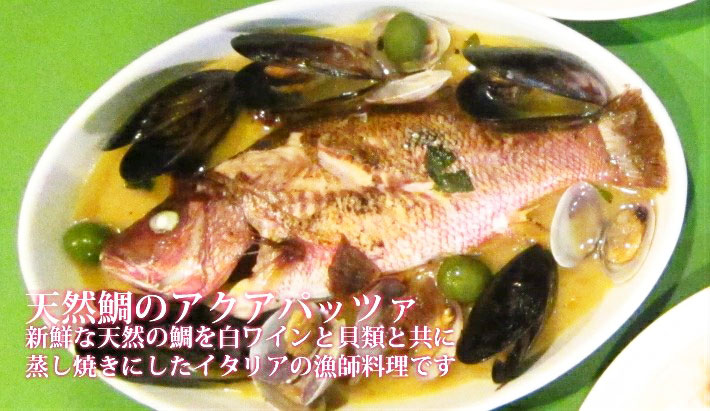 �V�R��̃A�N�A�p�b�c�@