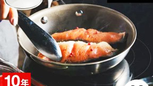�t���C�p��20cm