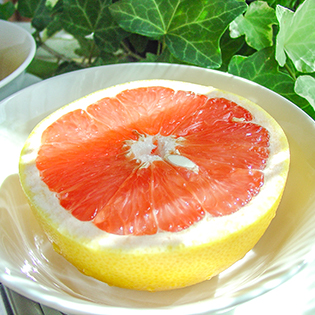 �O���[�v�t���[�c�_�C�G�b�g