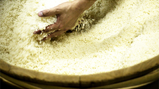 �F�{���Y�̐��č�