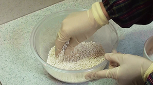 �^�b�p�[�ō�鉖���F��̊������̓o���o���ɂȂ�悤�Ƀ{�E���ł��݂ق���