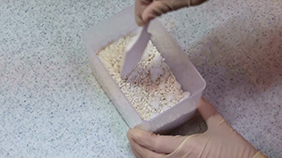 �^�b�p�[�ɍ��Ɖ������č������킹��