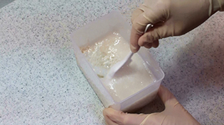 ���������Ă悭������