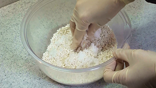 ���������Ă悭������