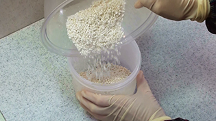 �������ł������e��ɓ����