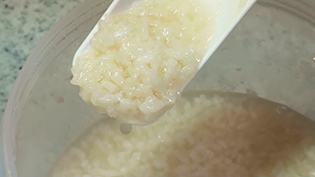 8���Ԍ�Ɋ���