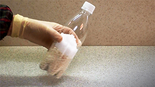 �y�b�g�{�g���ɉ��������A�W�����Ă悭�U�荬�����킹��