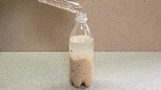 �y�b�g�{�g���ɂʂ�ܓ��𒍂�