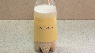 �����甭�y��������������悤�ɕtⳂ�\��t���Ă���