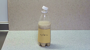 �W�����߂ď퉷�̂܂�1�`2�T�ԕ��u���ĉ����̊���