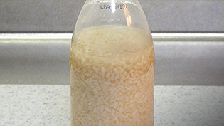 �y�b�g�{�g���ō�鉖���̍����̓���