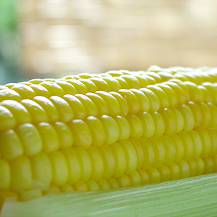 �Ƃ����낱���̂�ŕ�