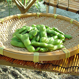 �}���̂�ŕ�