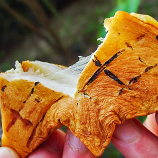 �͂�؂�`�[�Y�������̍���