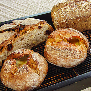 �h���A���̐Ηq�V�R�y��p��