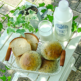 �ĕ��p���̍���