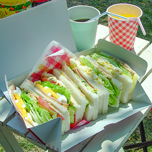 �T���h�C�b�`�̍���