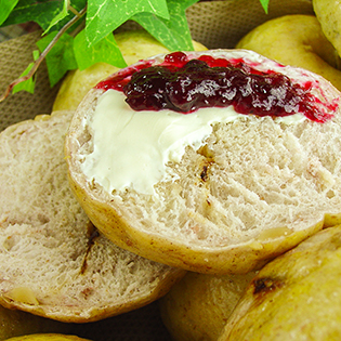 �V�R�y��x�[�O���i���C������j�̍���