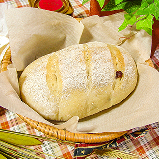 �V�R�y��p���i�𔔂Ŏ���������j�̍���