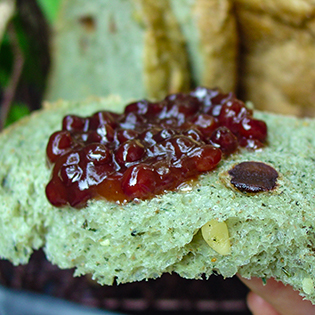 ������p���i�z�[���x�[�J���[�ō��j�̍���