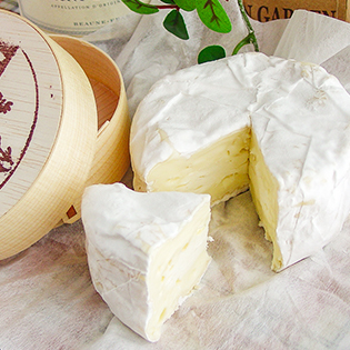 �g�c�q��̃J�}���x�[���`�[�Y