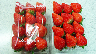 ��Ŏς邢�����W�����̍����F��������600g�v��